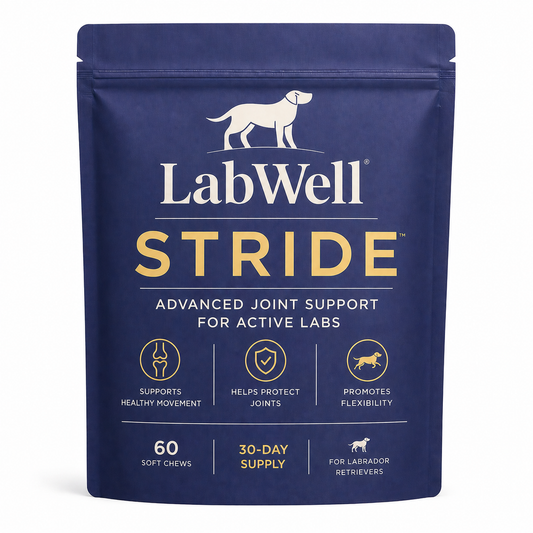 LabWell STRIDE