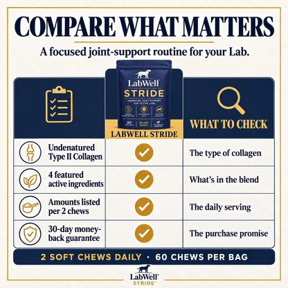 LabWell STRIDE comparison guide with four featured ingredients, clear serving amounts and purchase terms