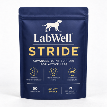 LabWell STRIDE front pouch photographed in a square composition on a textured white studio set