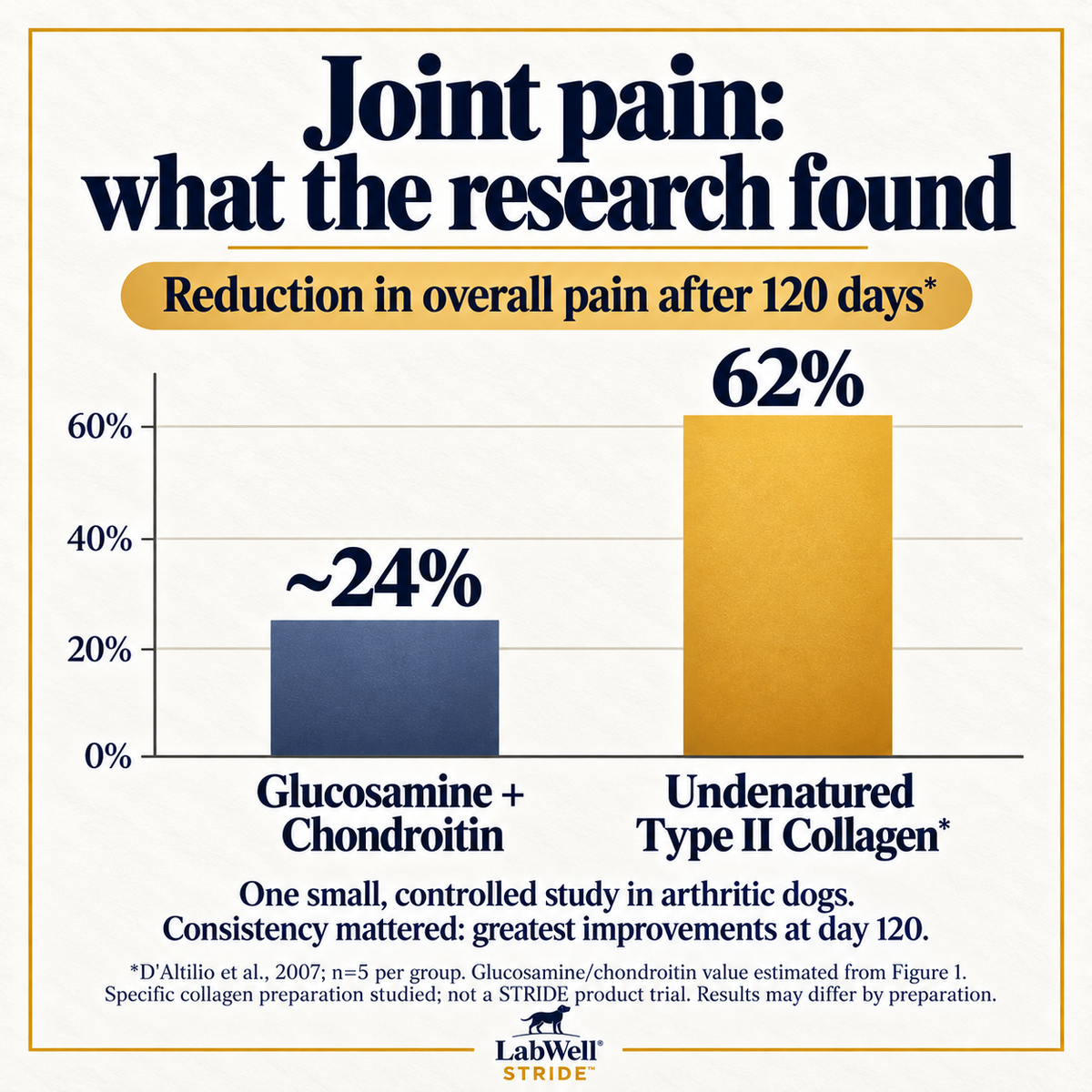LabWell STRIDE pain comparison: published canine ingredient study showing 62% overall pain reduction for the studied collagen preparation versus approximately 24% for glucosamine and chondroitin at 120 days; not a STRIDE trial
