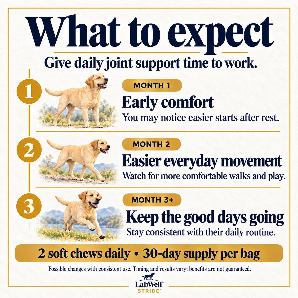 LabWell STRIDE what to expect timeline: early comfort, everyday movement and consistent daily joint support over three months